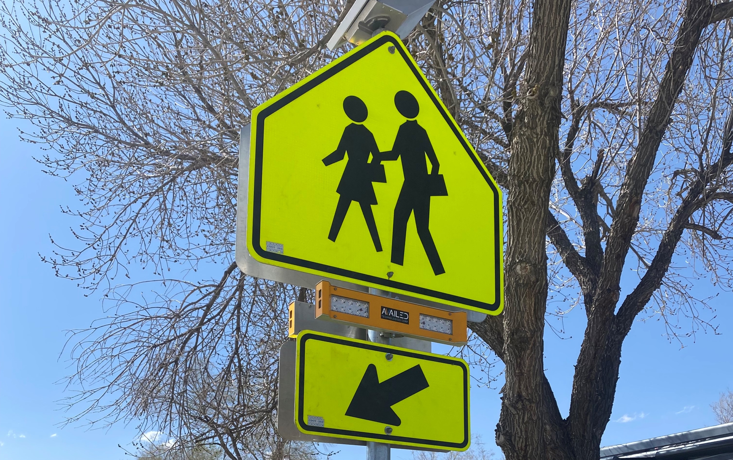 blue school crossing sign